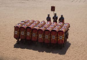 Testudo2