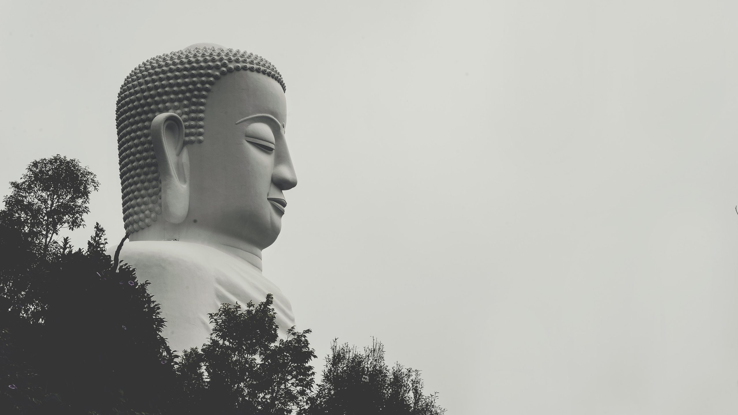 What is Buddhist Meditation