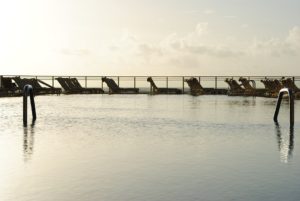 Calm pool at Sunrise for Water Meditation