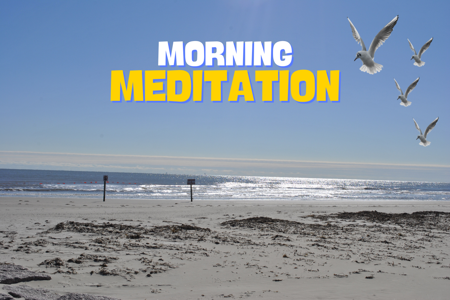 MORNING MEDITATION